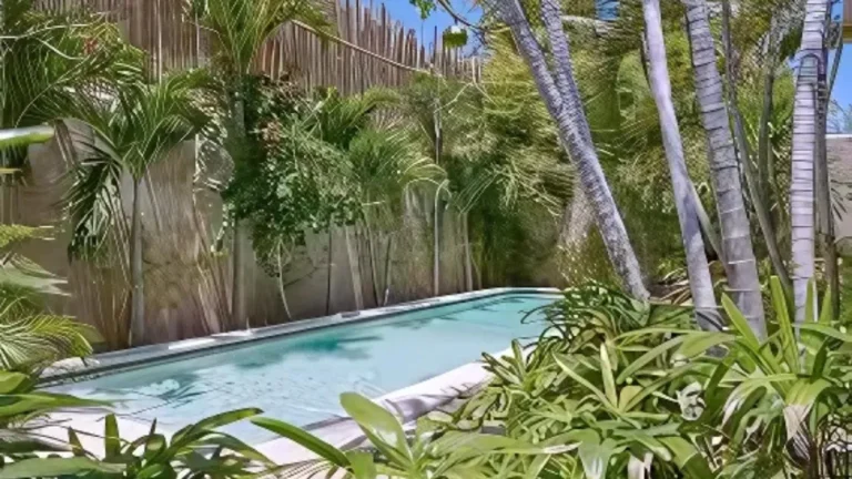 Bali Honeymoon