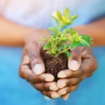 Dinas Lingkungan Hidup Kabupaten Melawi